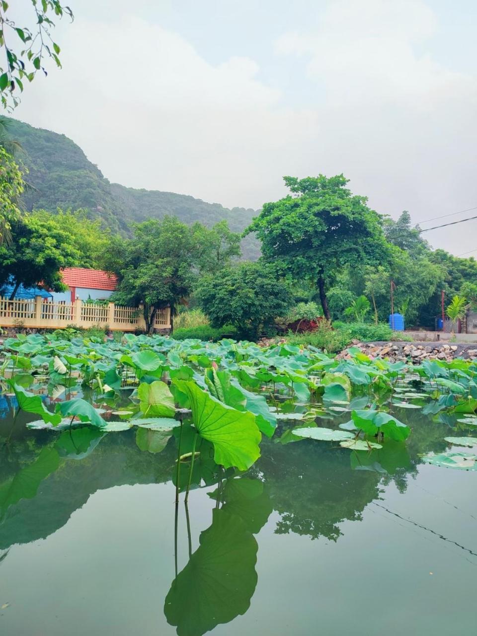 Trang An Natural Mountainside Homestay Ninh Binh Exteriér fotografie
