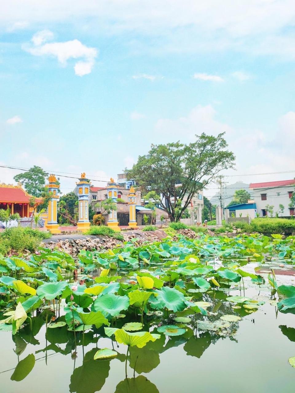 Trang An Natural Mountainside Homestay Ninh Binh Exteriér fotografie