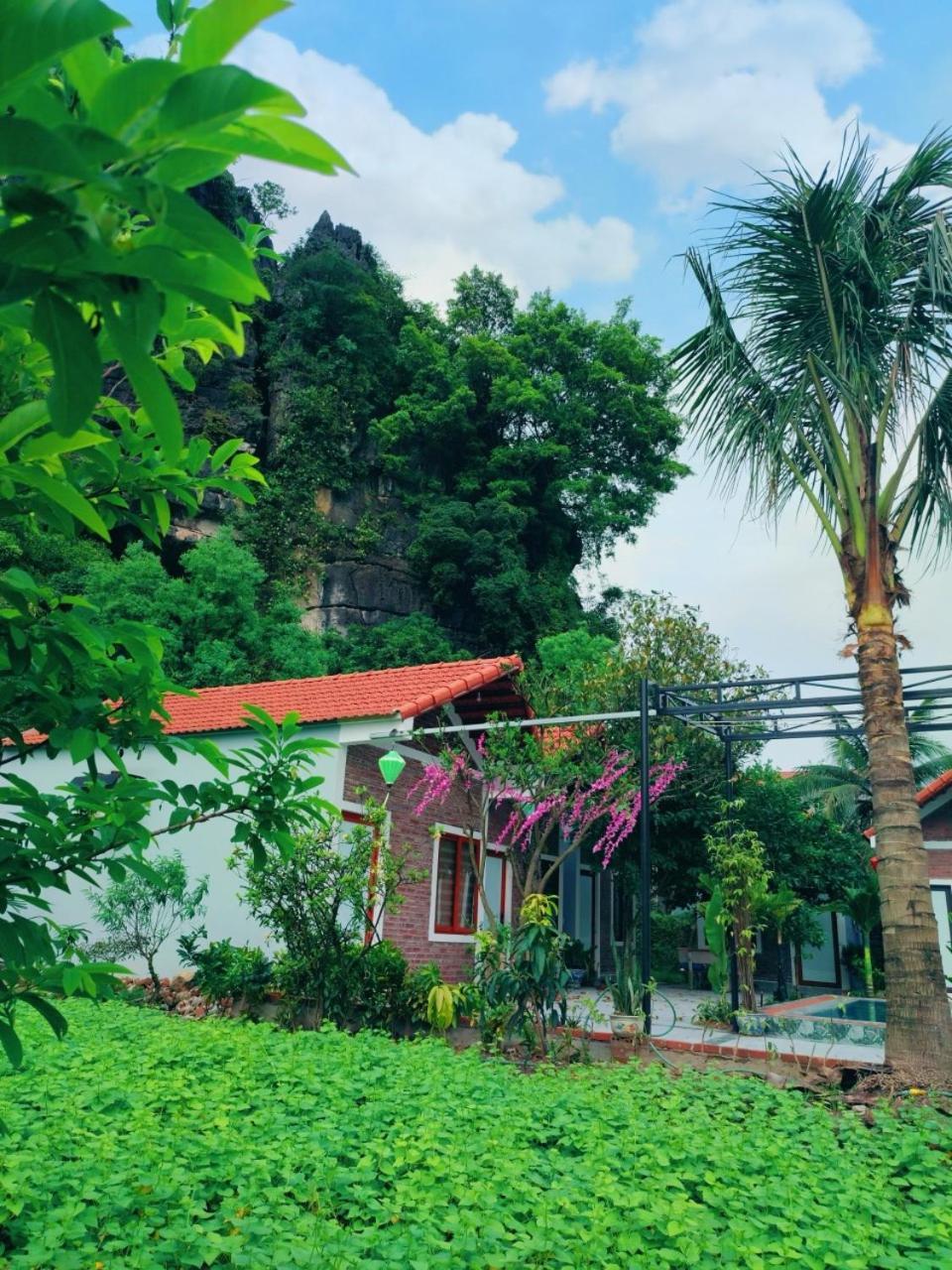 Trang An Natural Mountainside Homestay Ninh Binh Exteriér fotografie