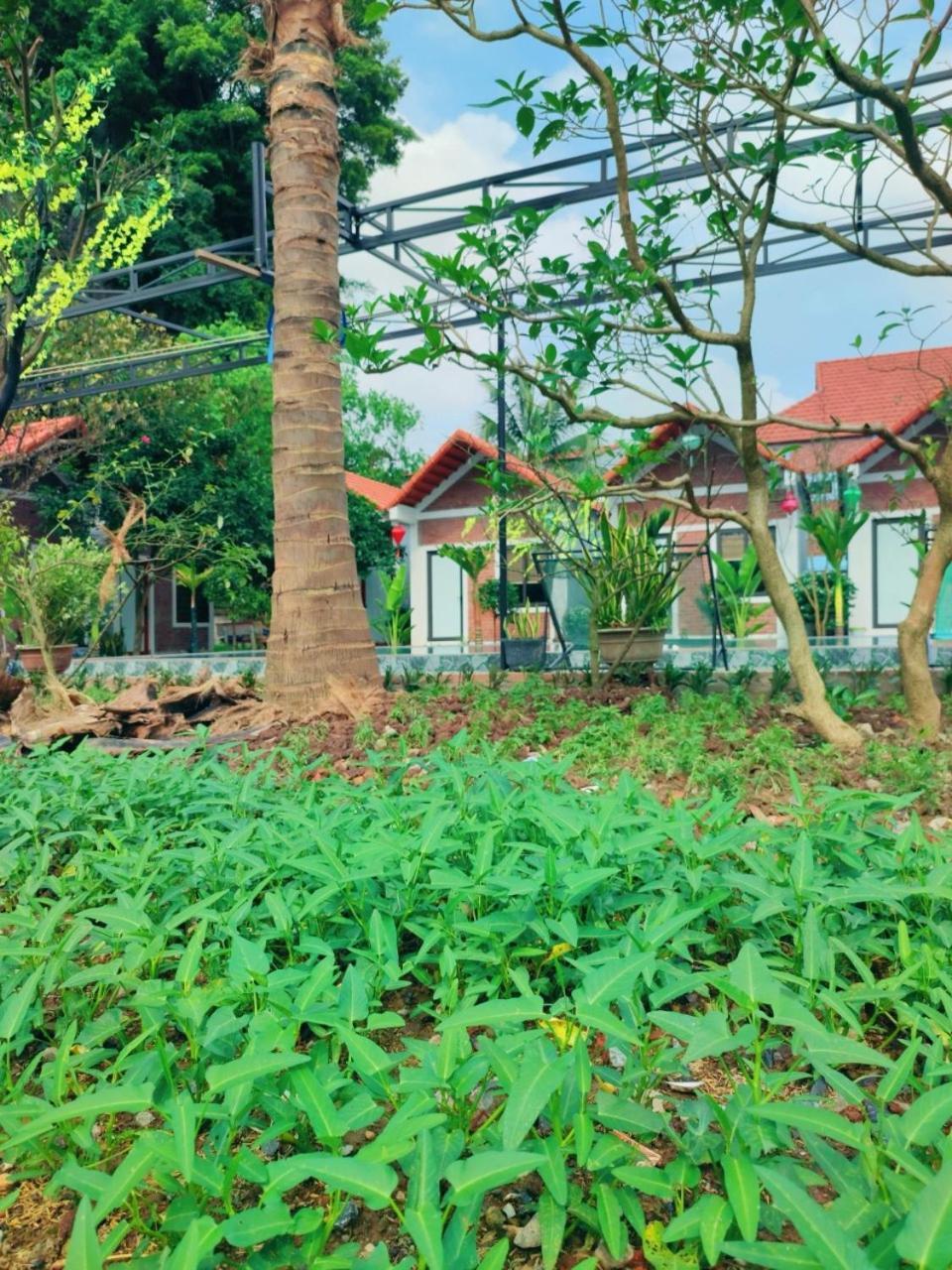 Trang An Natural Mountainside Homestay Ninh Binh Exteriér fotografie