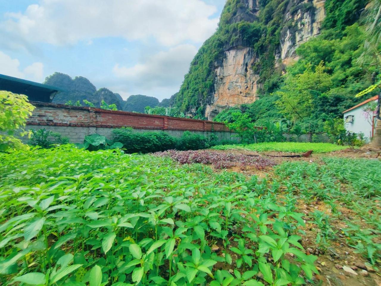 Trang An Natural Mountainside Homestay Ninh Binh Exteriér fotografie