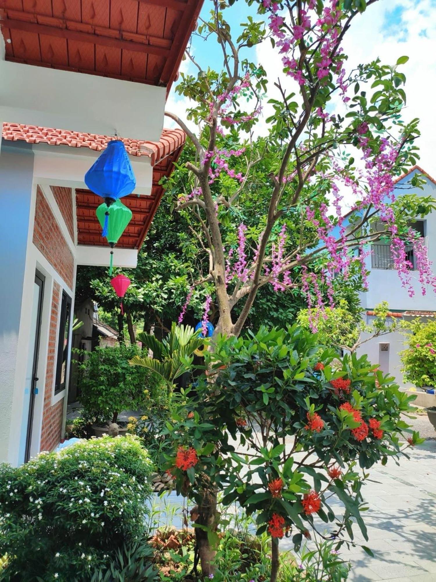 Trang An Natural Mountainside Homestay Ninh Binh Exteriér fotografie